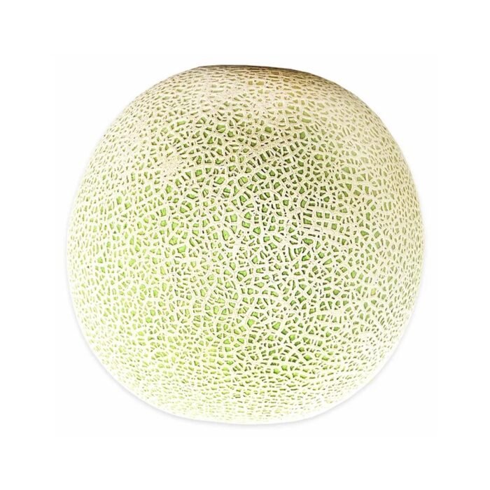 Product 5 - Image 2